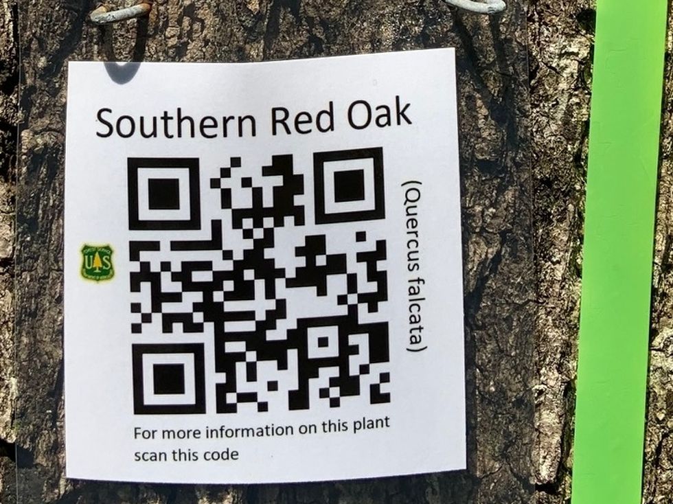 the use of QR Codes for Wood Identification 3