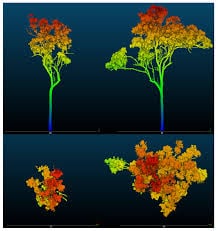 Remote sensing 3