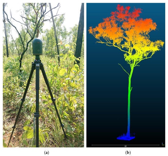 Innovative methods for tracking wood